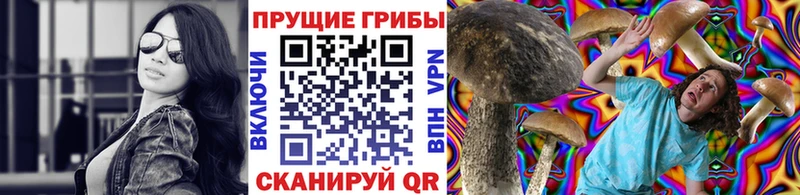 Галлюциногенные грибы GOLDEN TEACHER  Крымск 
